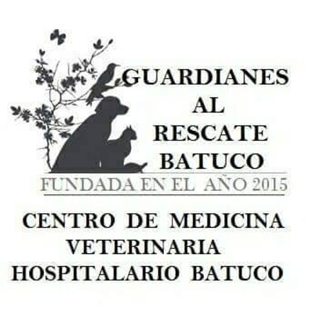 Moda  guardianes al Rescate Batuco