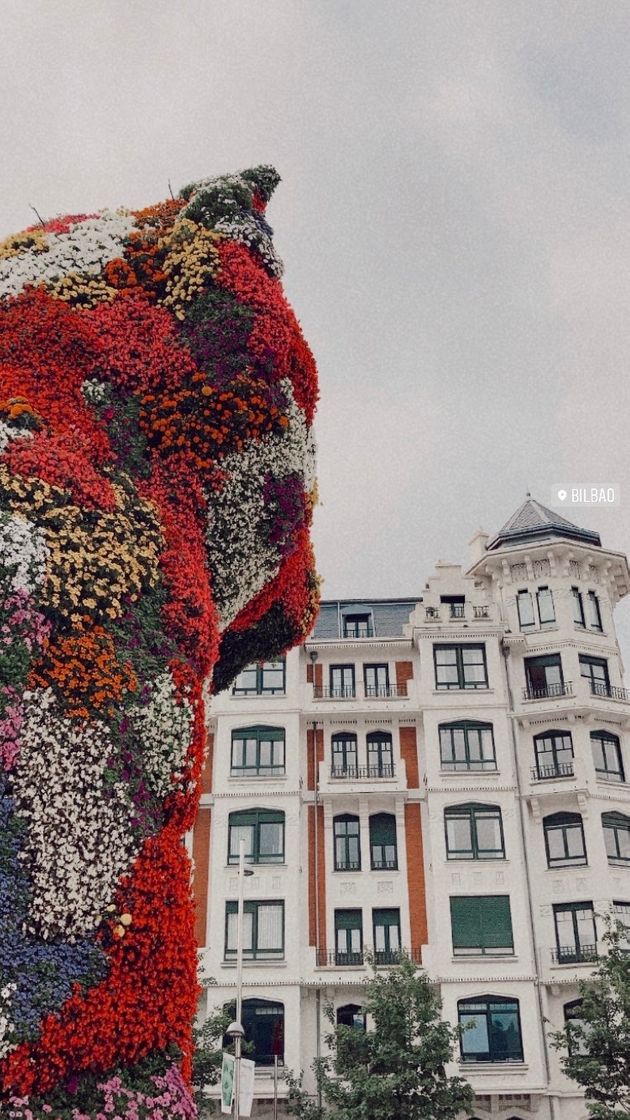 Place Bilbao