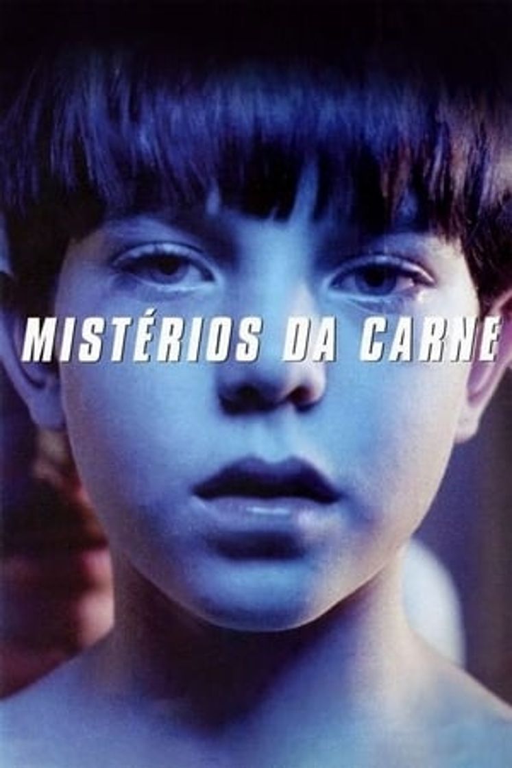 Película Mysterious Skin (Oscura inocencia)