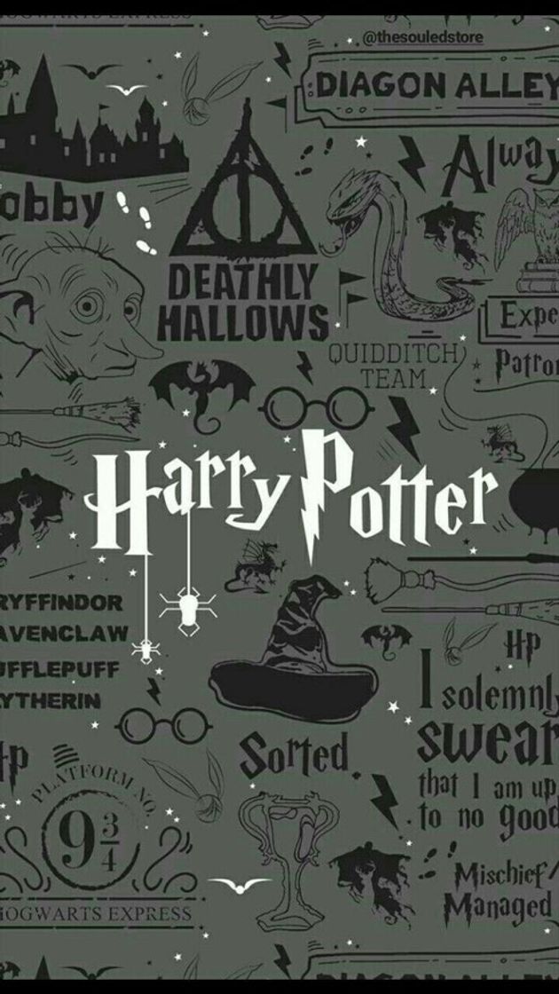 Social Harry Potter 