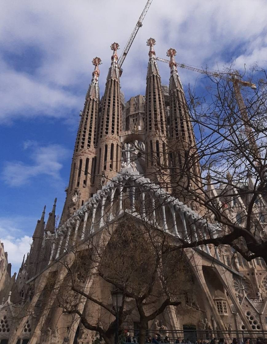 Place Basílica Sagrada Familia