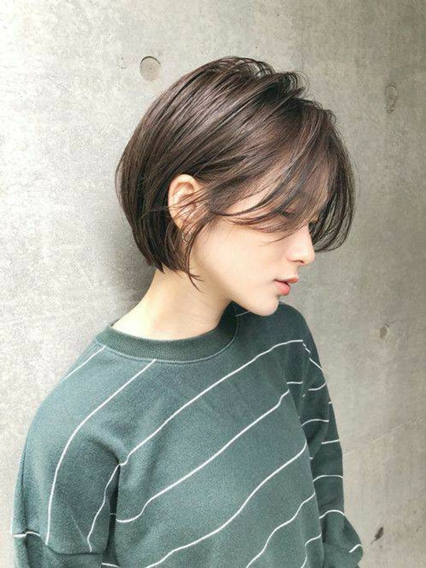 🕊️