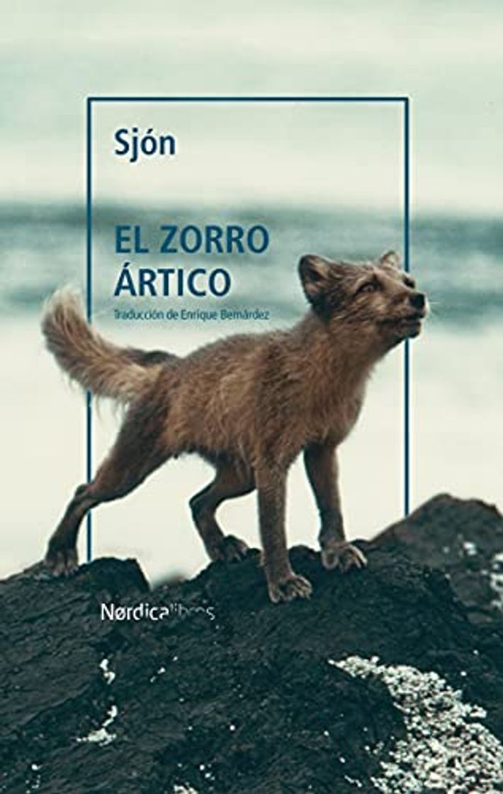 Libros El zorro ártico