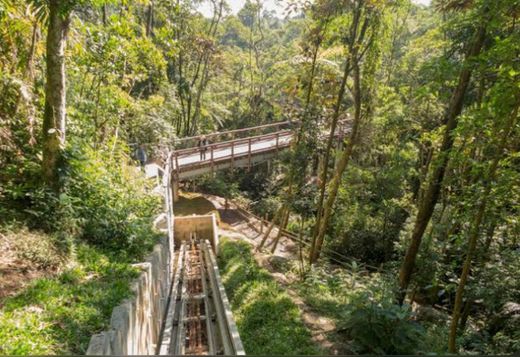 Parque Ecológico Imigrantes