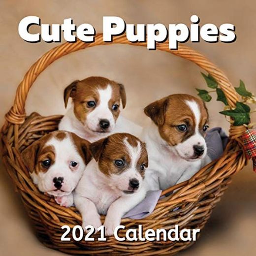 Cute Puppies 2021 Calendar: Women, Men, Kids, Puppy Dog Lover