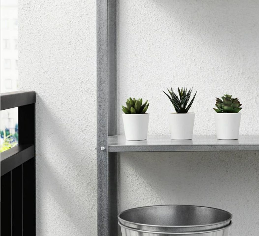 Social • CATOS ARTIFICIAIS •