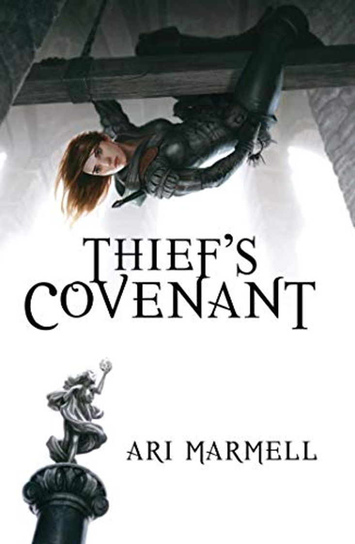 Book Thief's Covenant: A Widdershin's Adventure