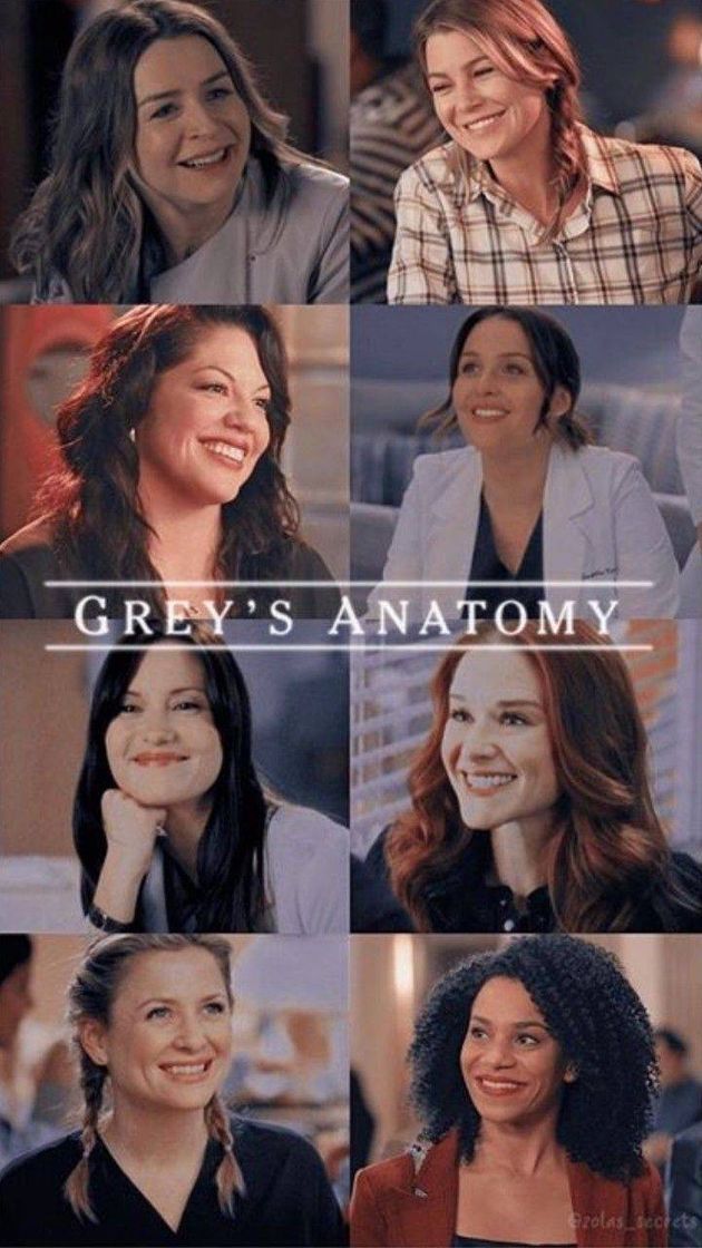 Series Grey's anatomy 