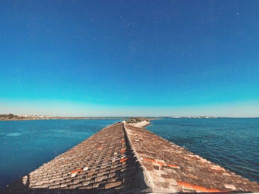 Ria Formosa Natural Park