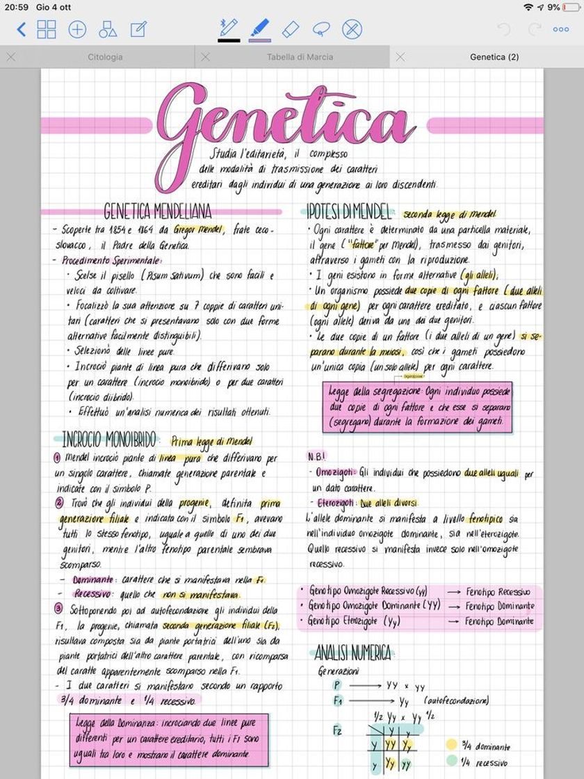 Moda Genetica