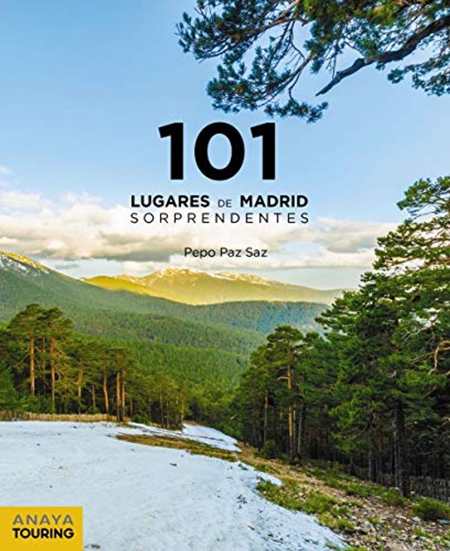 Book 101 Lugares de Madrid sorprendentes