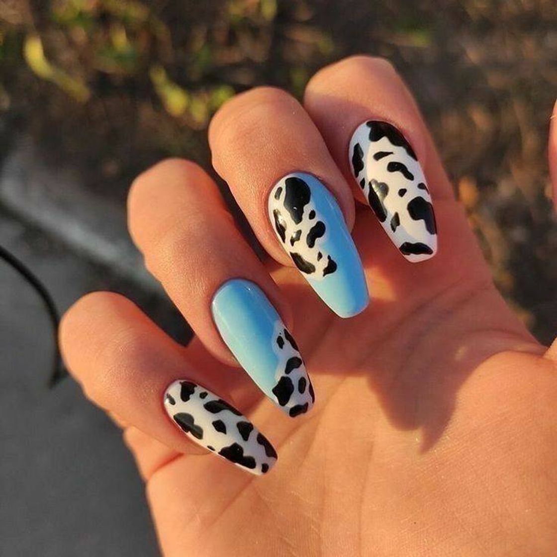 Moda Unhas de vaquinha com azul 🐮💙