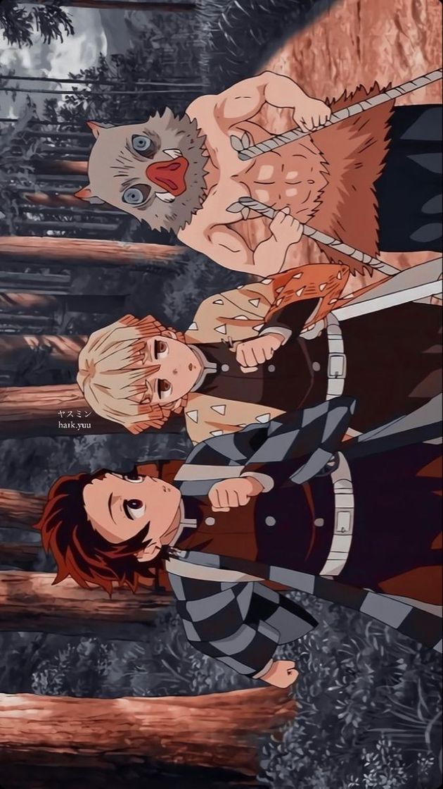 Serie DamonSlayer:kimetsu no Yaiba