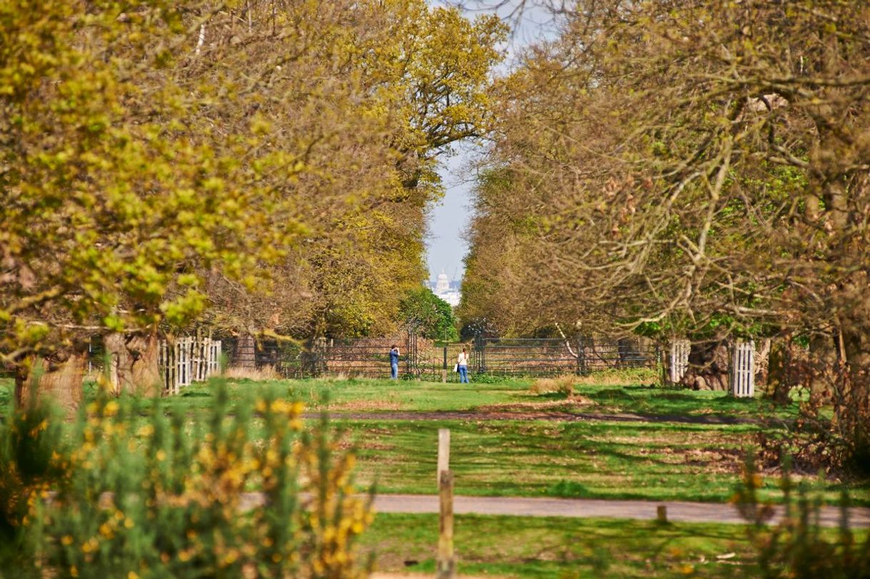 Place Richmond Park