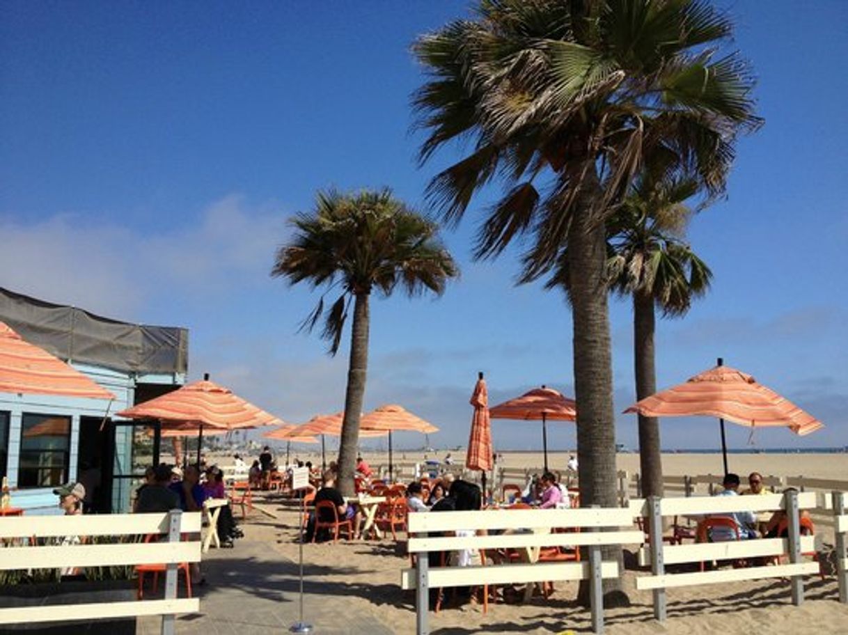 Restaurants Back on the Beach Cafe