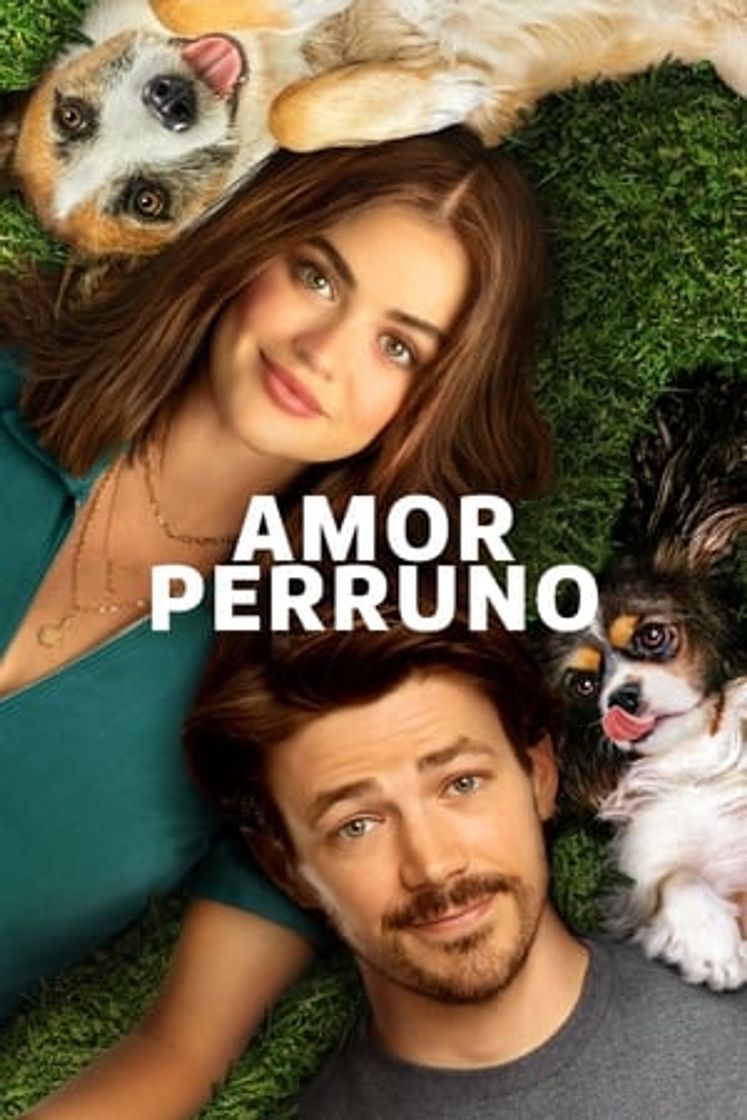 Movie Amor perruno