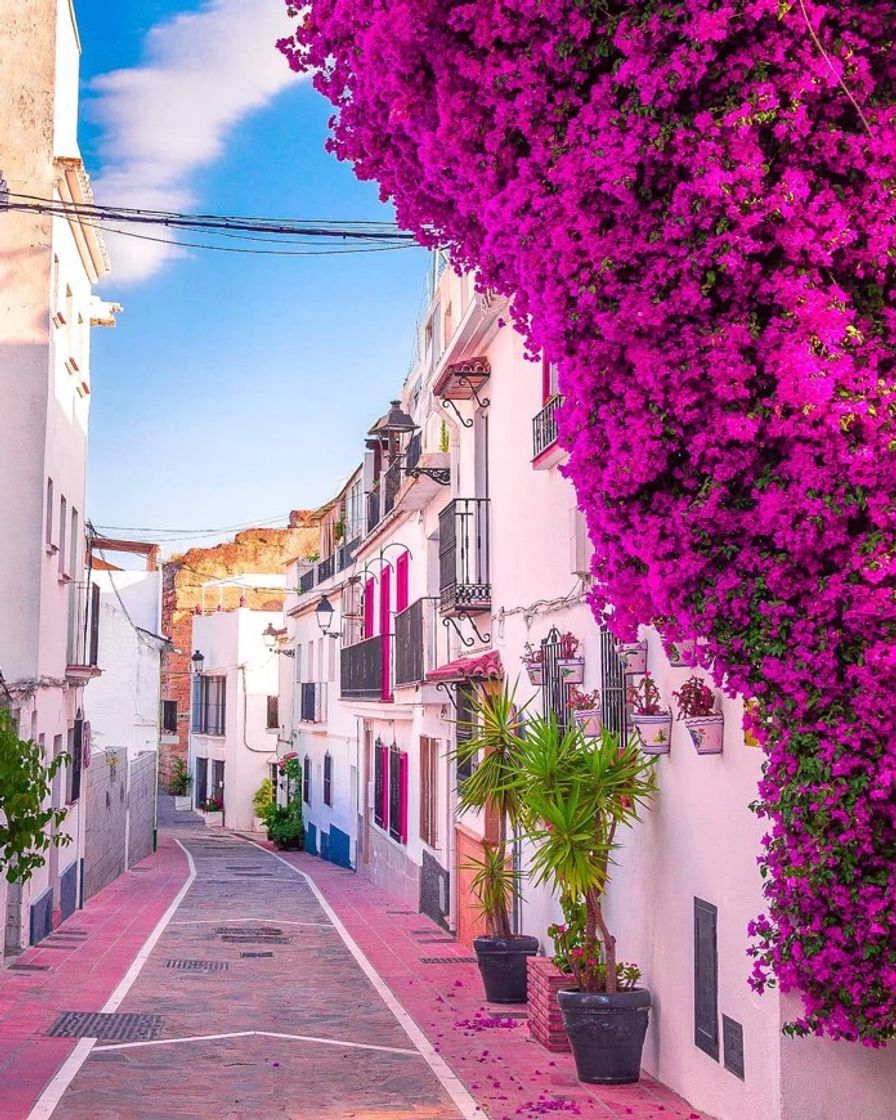 Moda Marbella, Spain 🇪🇸