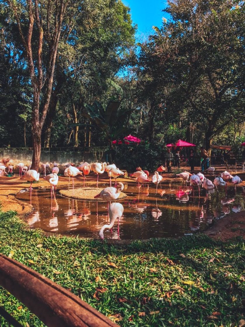 Place Parque das Aves