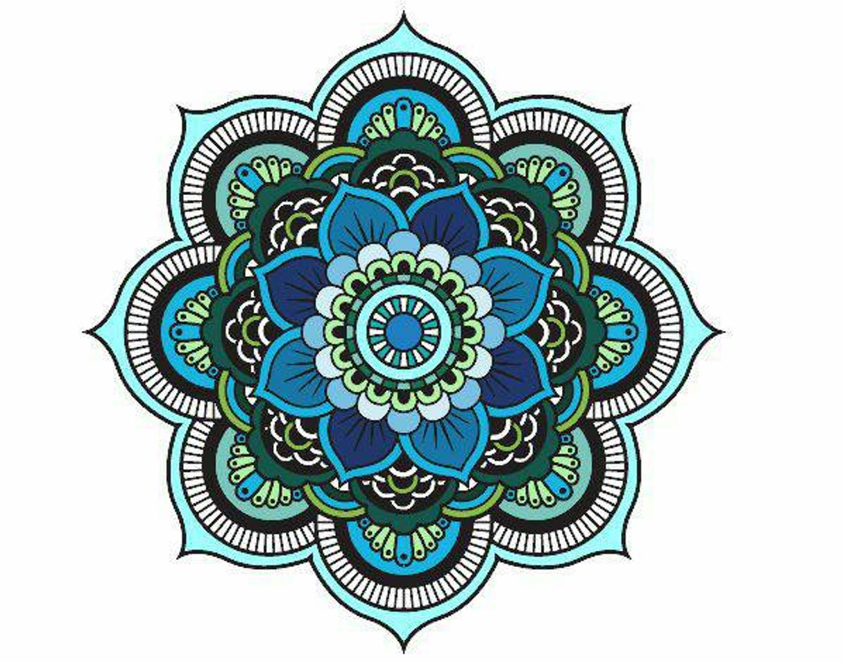 Fashion ❇️ Mandala colorida ❇️