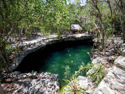 Cenotes Tankah