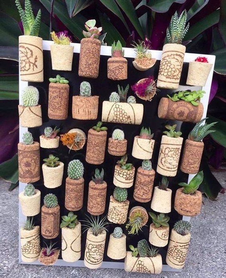 Moda Rolha de vinho para planta 