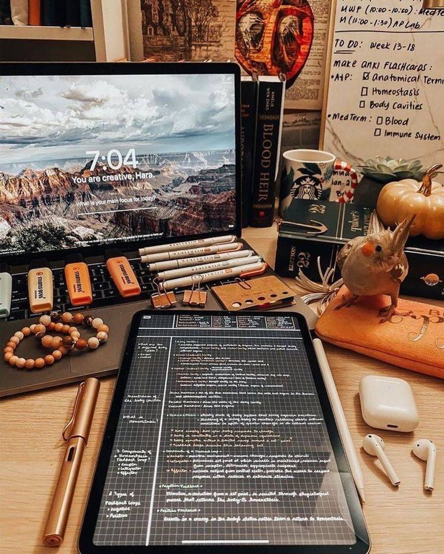 Moda Aesthetic desk...💻