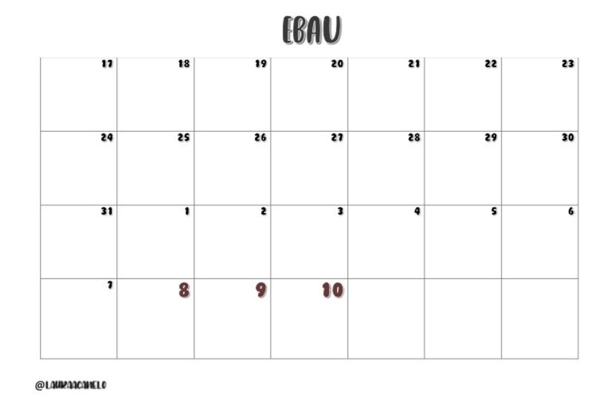 Book CALENDARIO EBAU💛