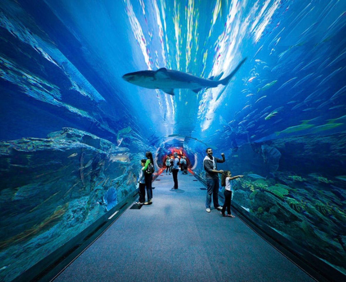 Lugar Aquarium & Underwater Zoo Dubai, United Arab Emirates