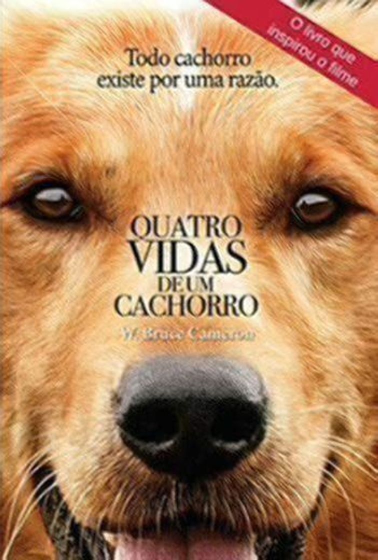 Book Quatro Vidas de Um Cachorro