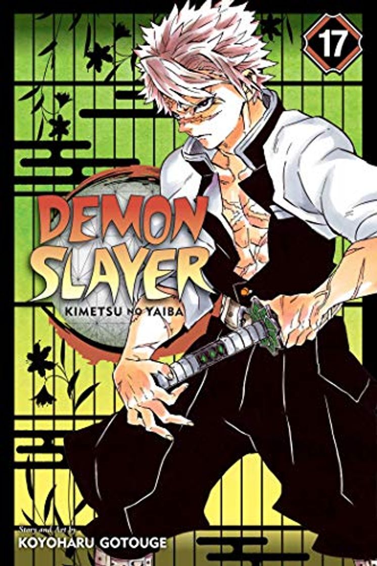 Libros Demon Slayer: Kimetsu no Yaiba, Vol