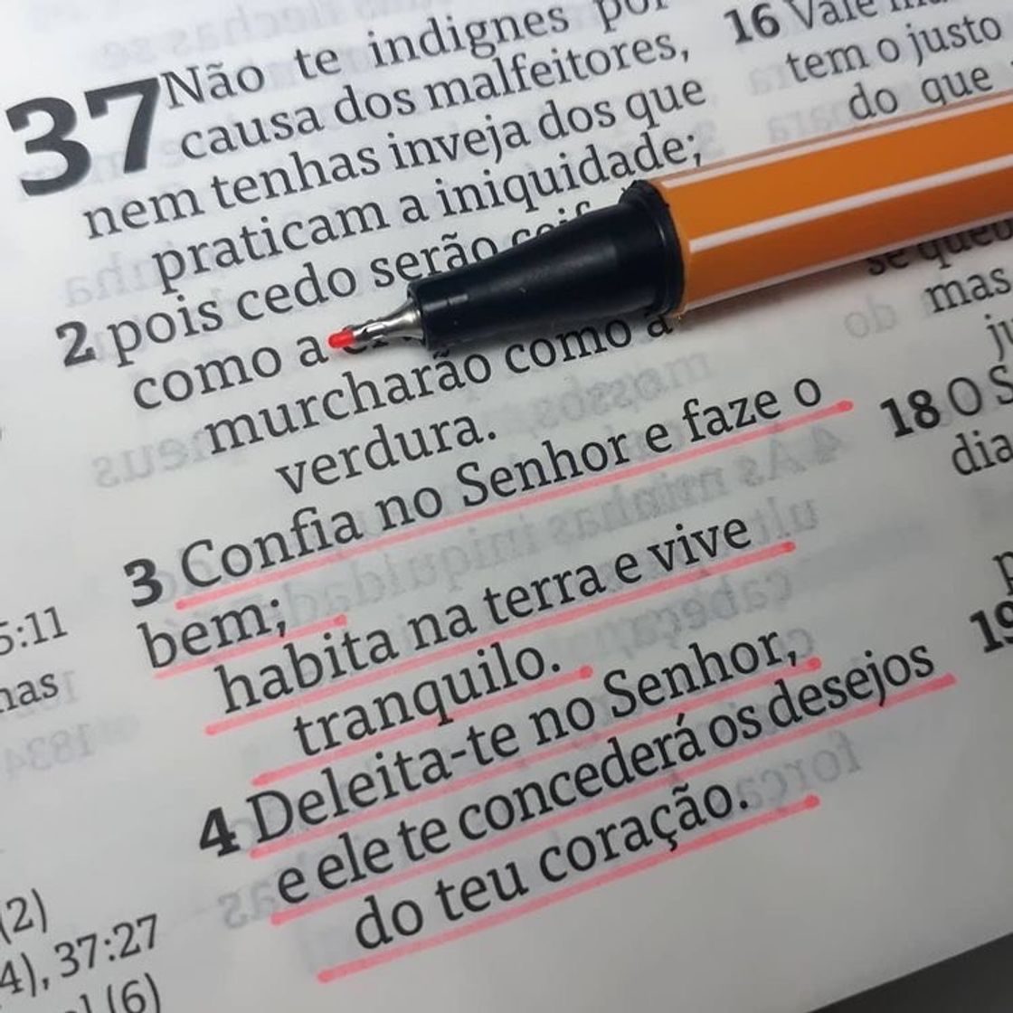 Fashion 😁 | ALEGRE-SE, DEUS É CONTIGO!!