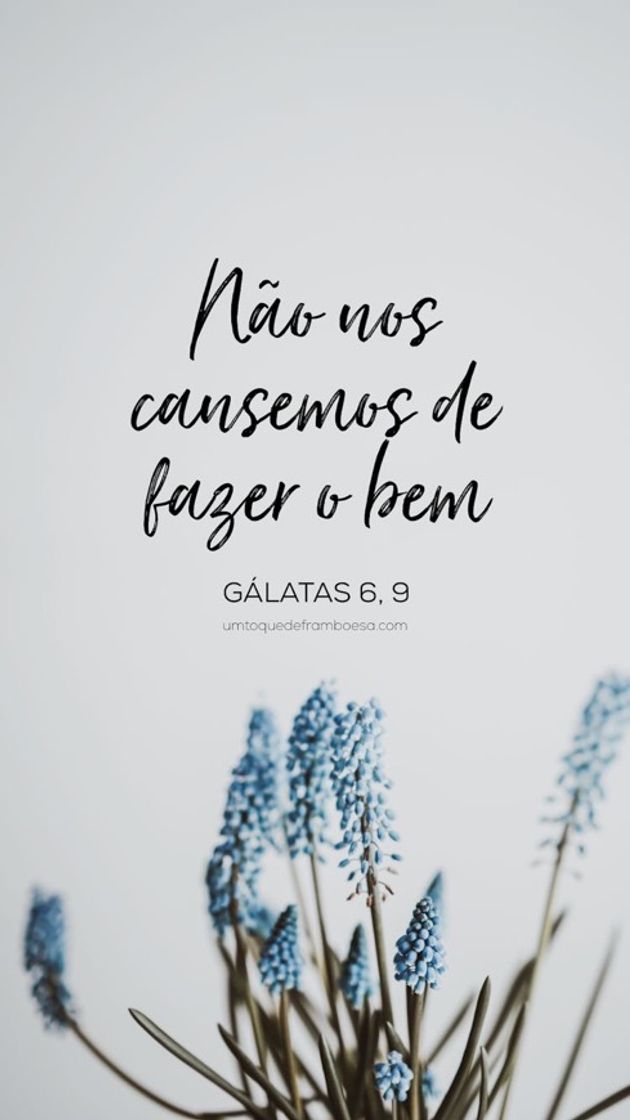 Fashion 📖🕊 | GÁLATAS 6: 9.