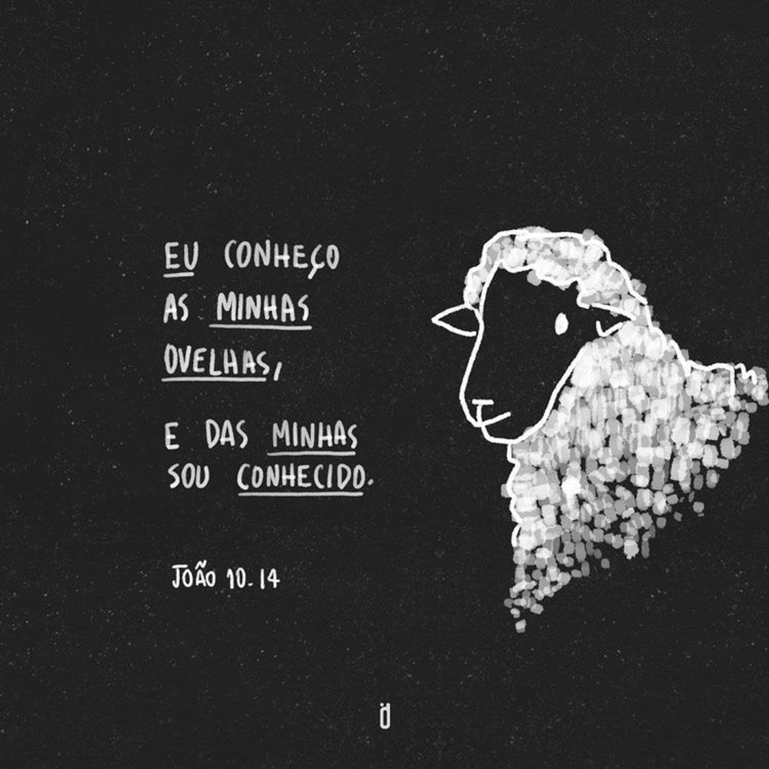 Fashion 📖🕊 | JOÃO 10: 14.