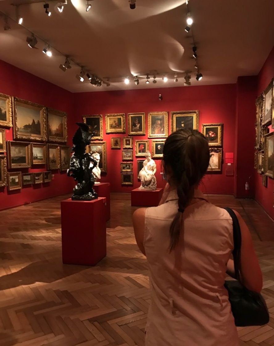 Place Museo Nacional de Bellas Artes