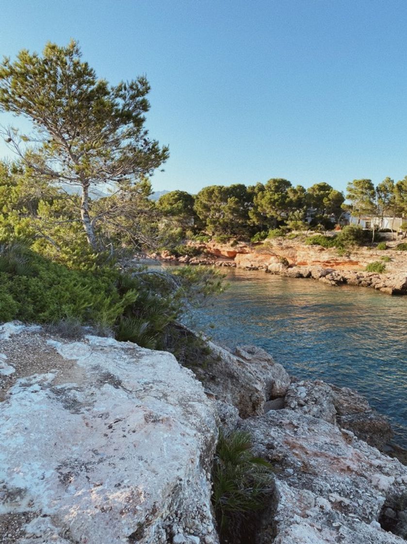 Restaurantes Cala Calafató