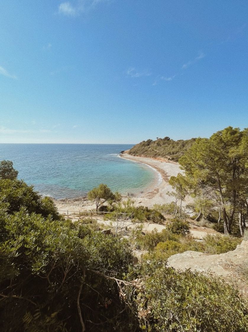 Lugar Platja del Torrent del Pi