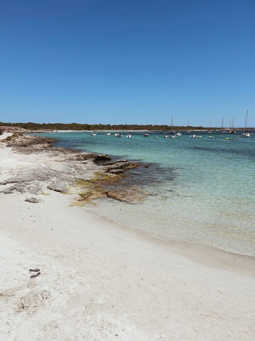 Lugar Platja de es Port