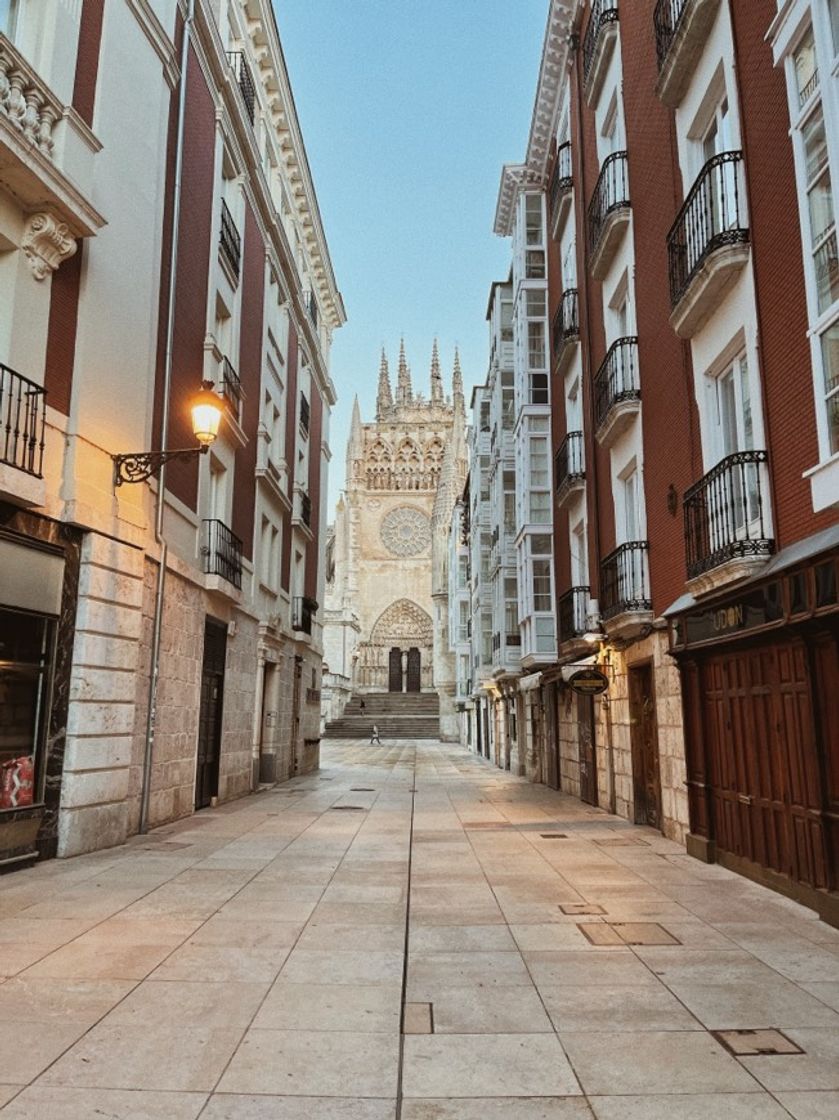 Lugar Catedral de Burgos