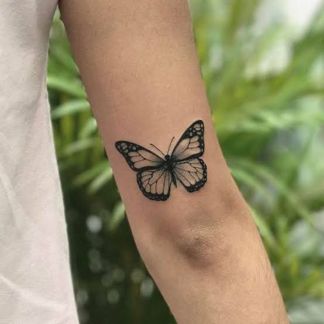 Moda Tatuagem Borboleta