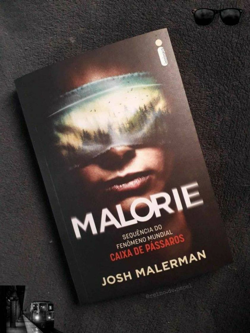 Books Malorie _ Sequência de A caixa de pássaros - Josh Malerman