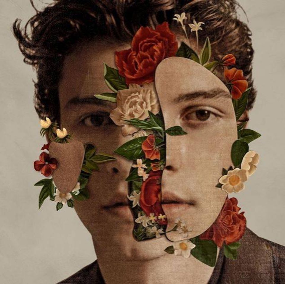 Canciones Shawn Mendes (Deluxe)