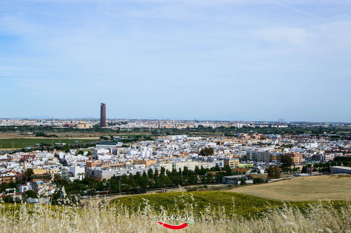 Place Mirador de Santa Brígida