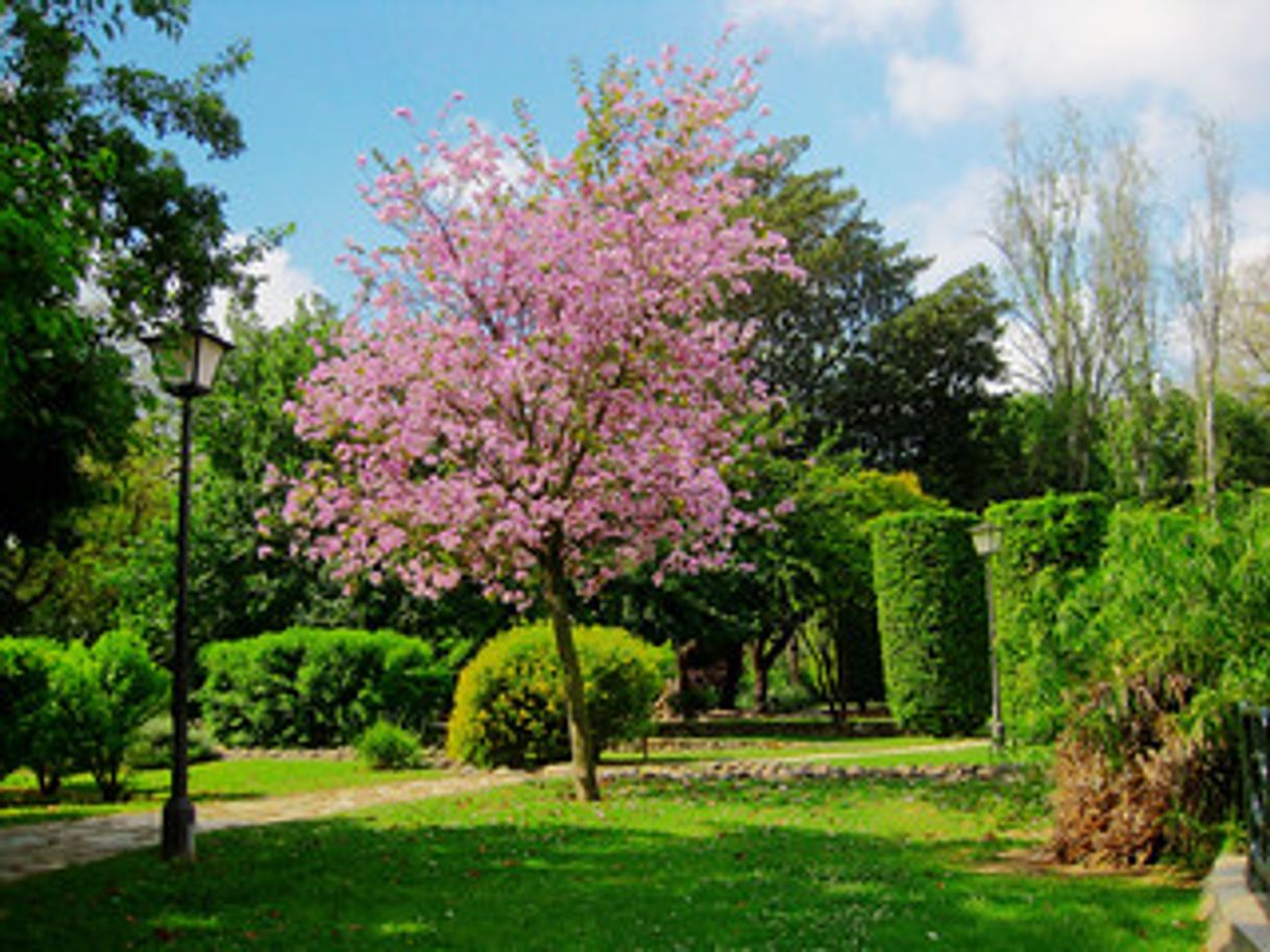 Lugar El Parque de Los Principes