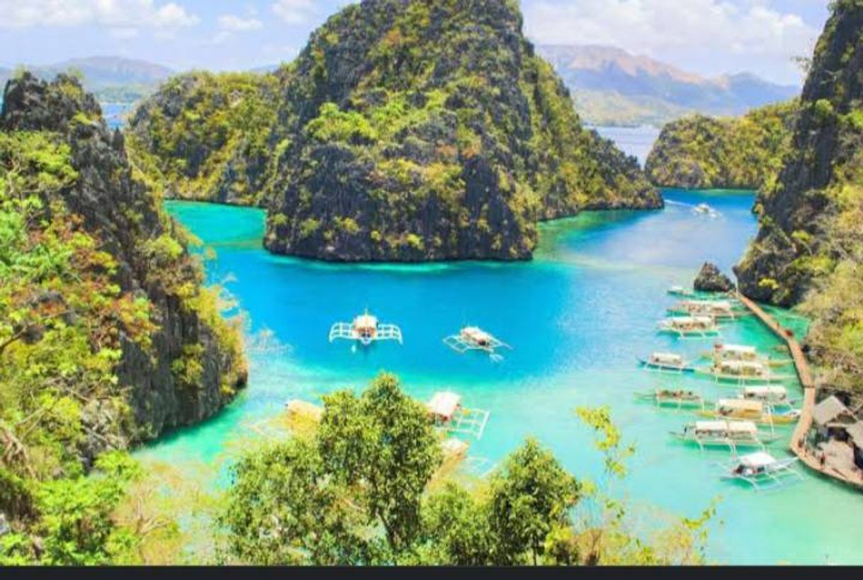 Lugar Isla de Palawan