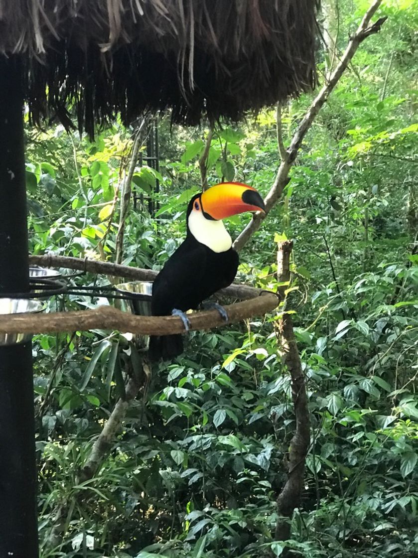 Place Parque das Aves