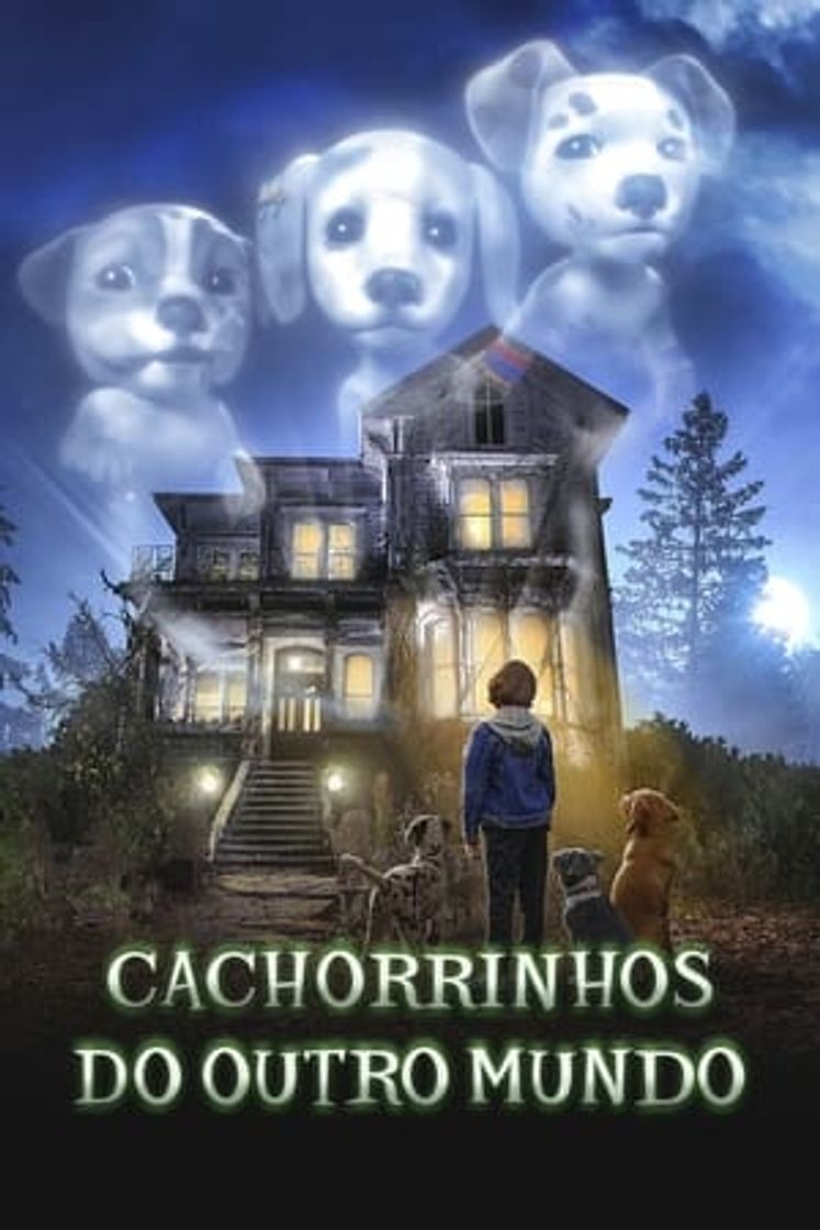 Serie Cachorros fantasmas