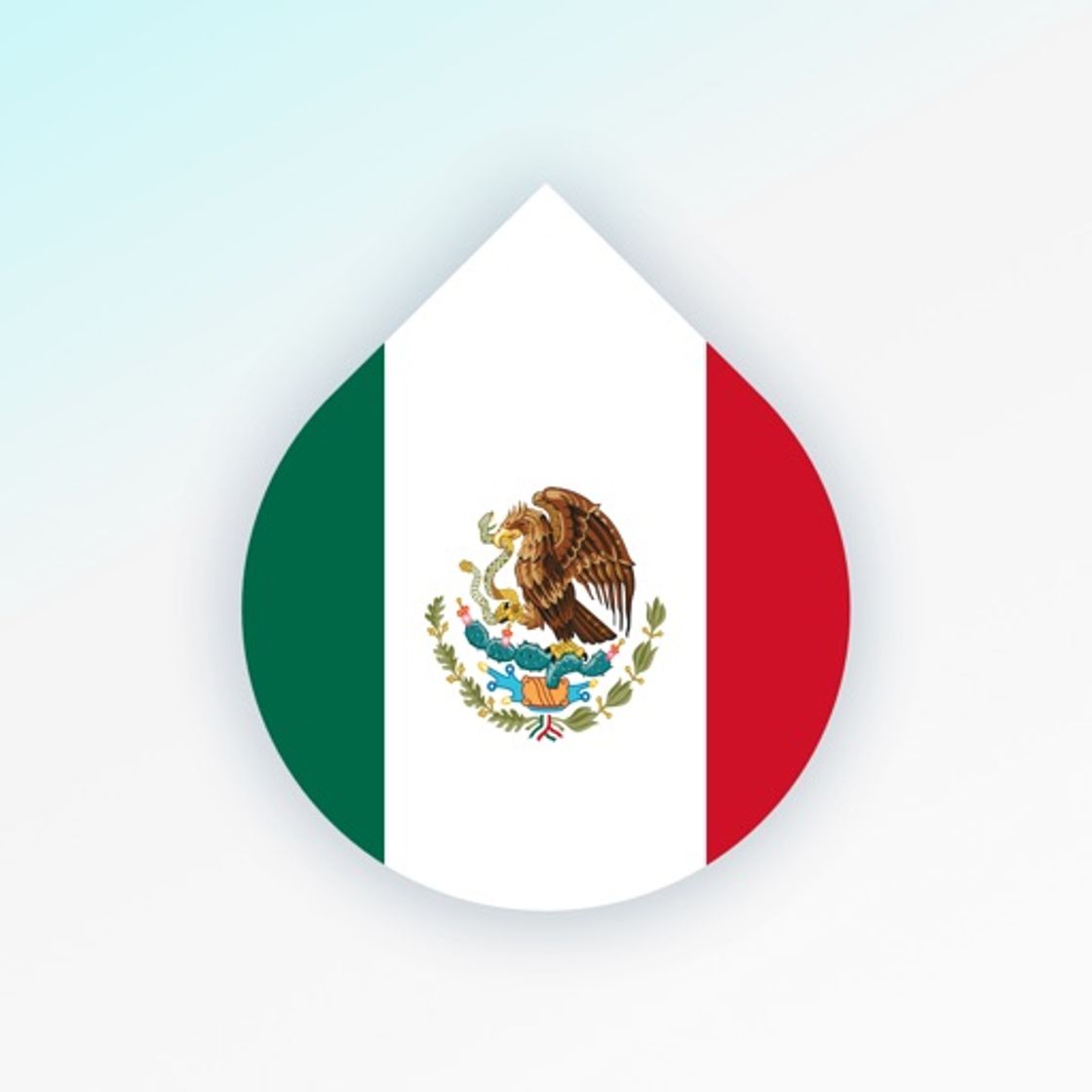 App Learn Mexican Spanish words