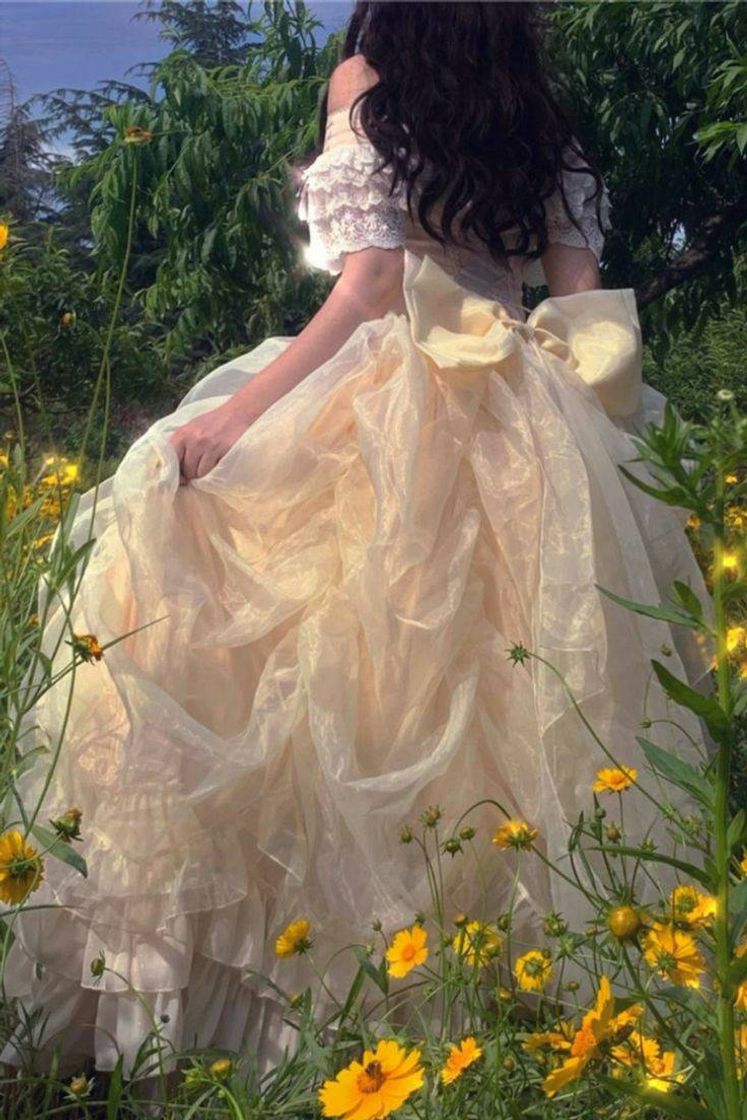 Social Princess Aesthetic