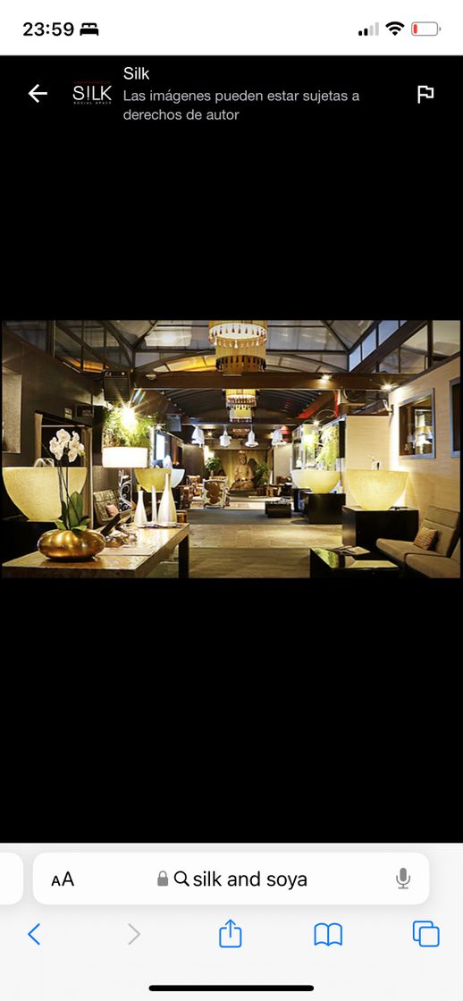 Restaurants SILK