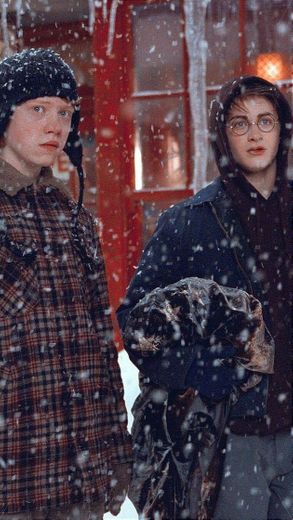 Harry e Ron